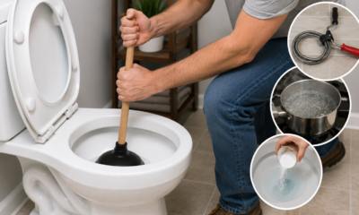 How to unclog a toilet