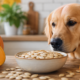 dogs eat pumpkin seeds